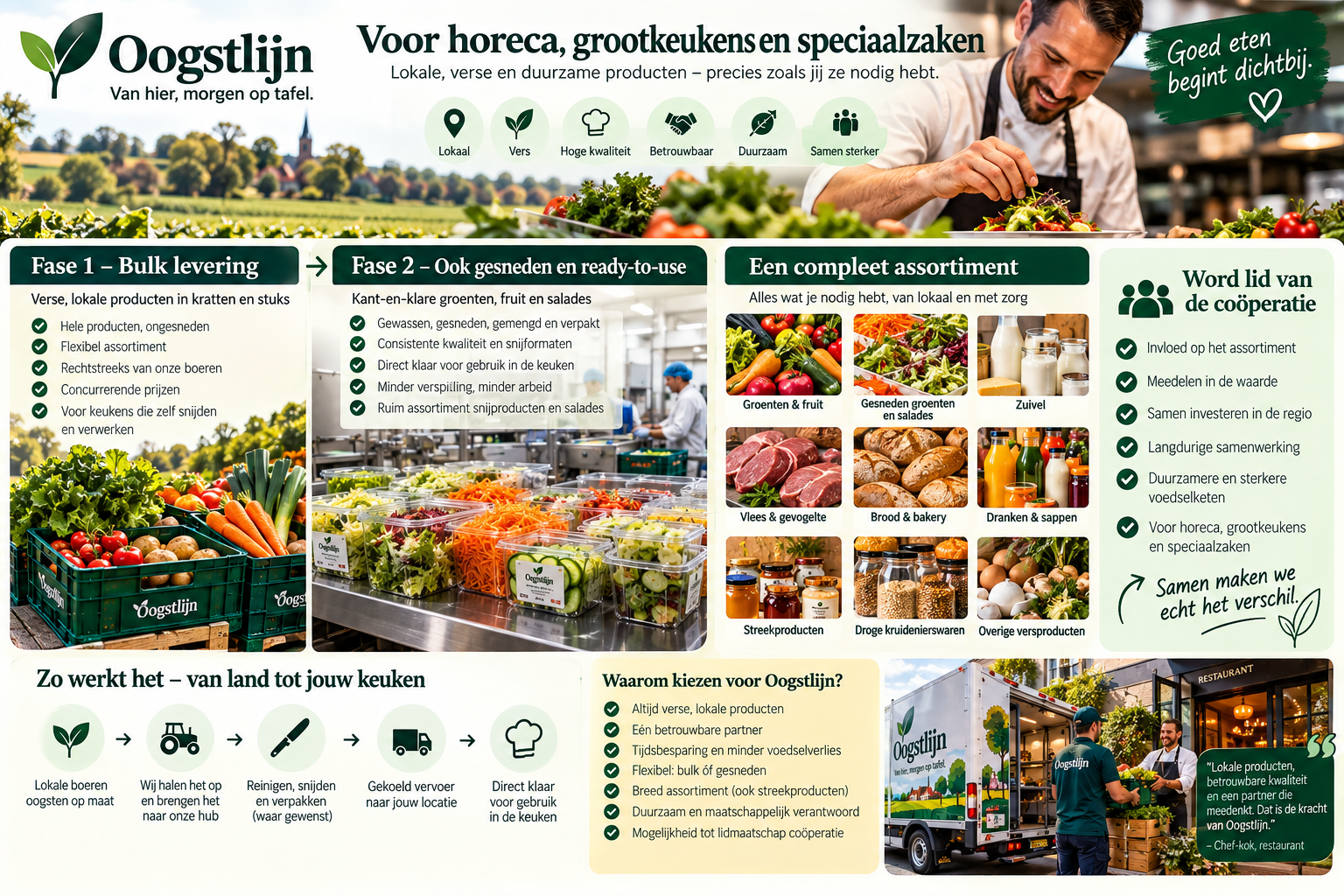 Oogstlijn-infographic voor horeca, grootkeukens en speciaalzaken: Fase 1 bulklevering in kratten, Fase 2 gesneden en ready-to-use, een compleet assortiment van groenten en fruit tot zuivel, vlees, brood, dranken en streekproducten, en de voordelen van lidmaatschap van de coöperatie